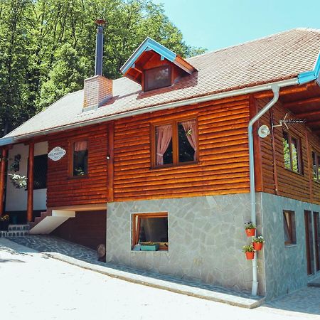 Villa Etno Domacinstvo Milenkovic Despotovac Exterior foto