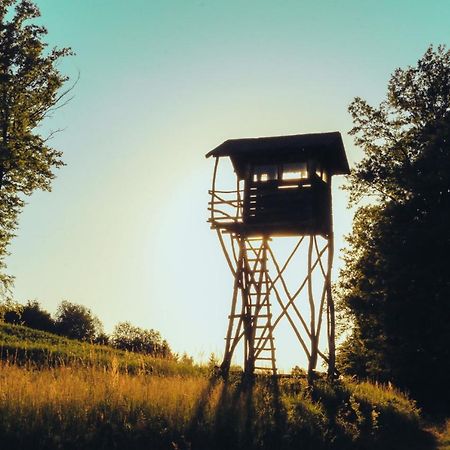 Villa Etno Domacinstvo Milenkovic Despotovac Exterior foto