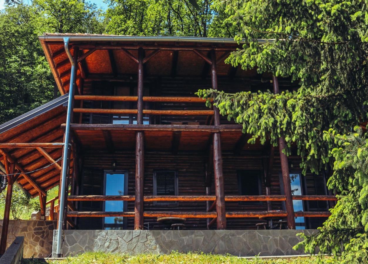 Villa Etno Domacinstvo Milenkovic Despotovac Exterior foto