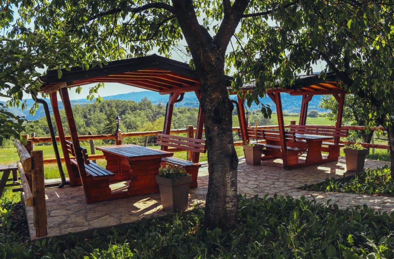 Villa Etno Domacinstvo Milenkovic Despotovac Exterior foto