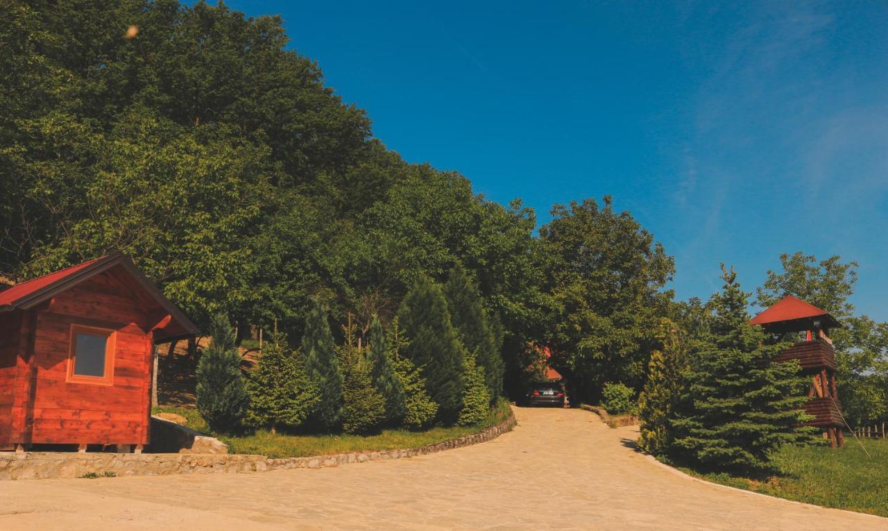 Villa Etno Domacinstvo Milenkovic Despotovac Exterior foto