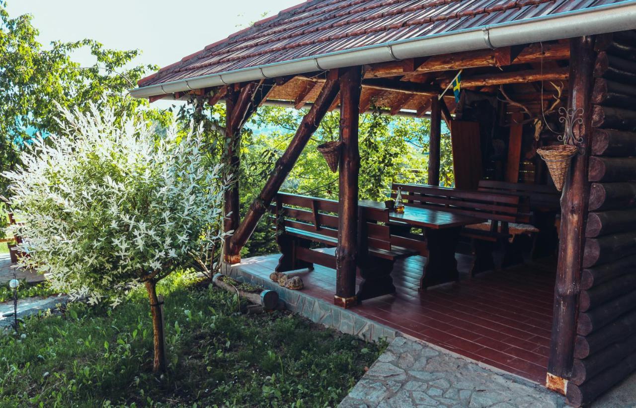 Villa Etno Domacinstvo Milenkovic Despotovac Exterior foto