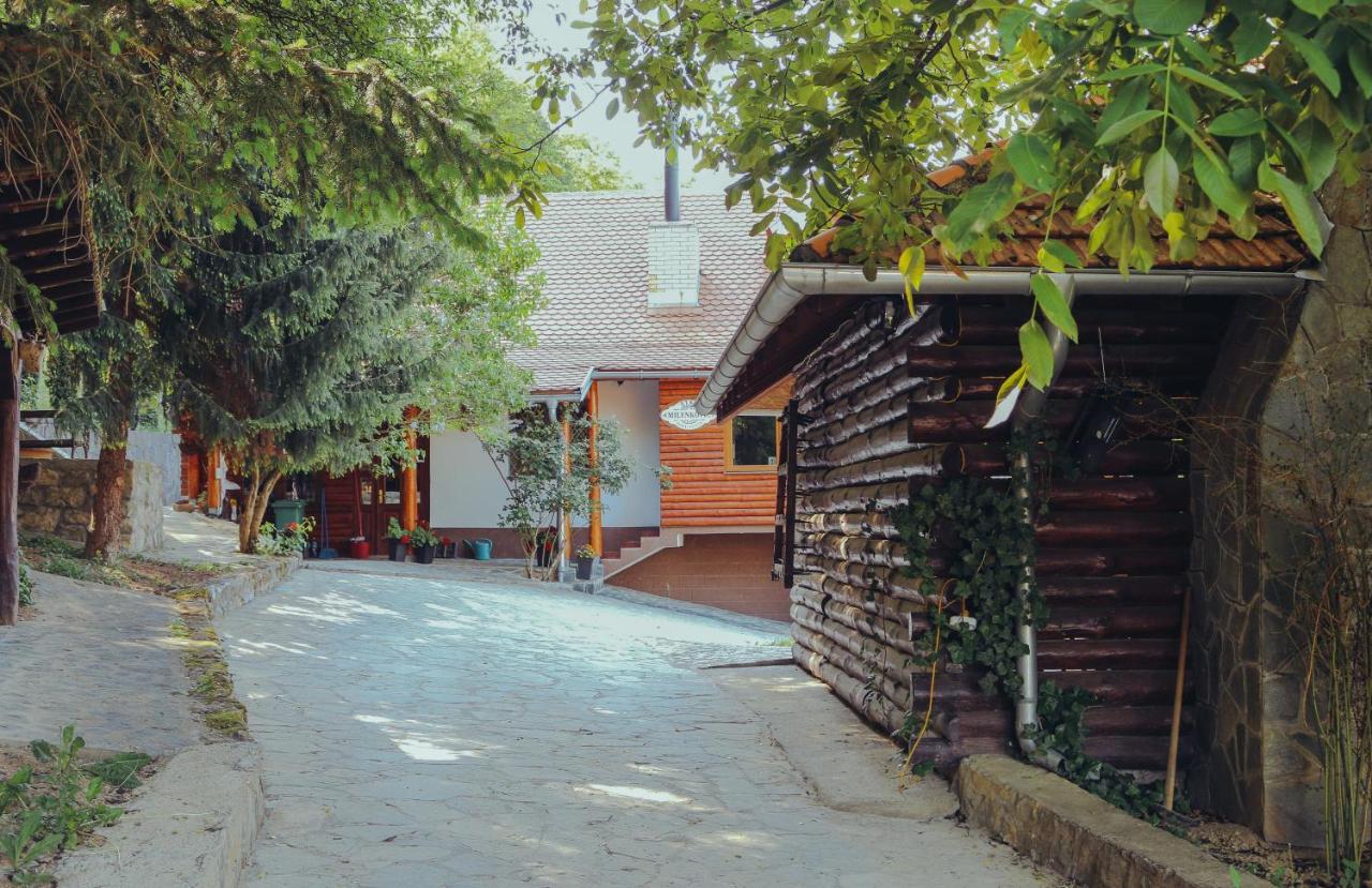 Villa Etno Domacinstvo Milenkovic Despotovac Exterior foto