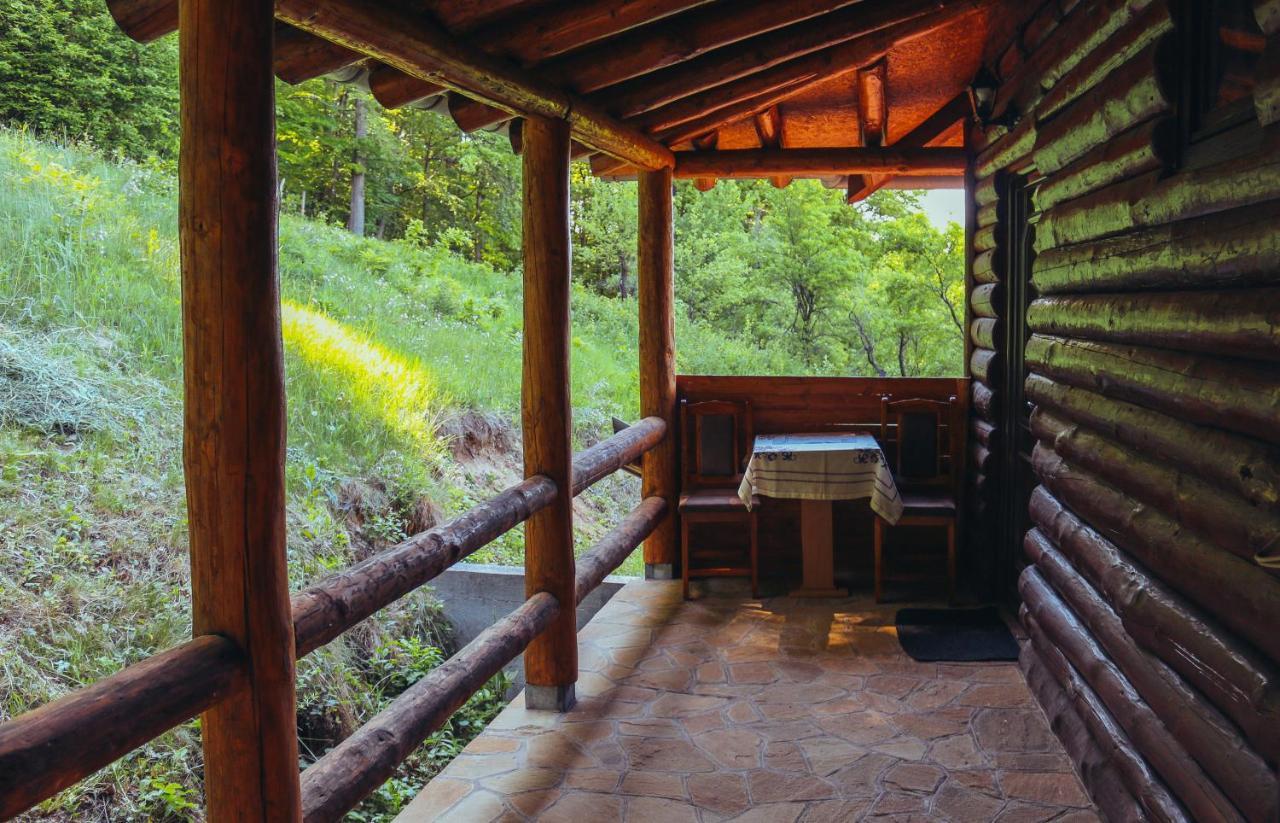 Villa Etno Domacinstvo Milenkovic Despotovac Exterior foto
