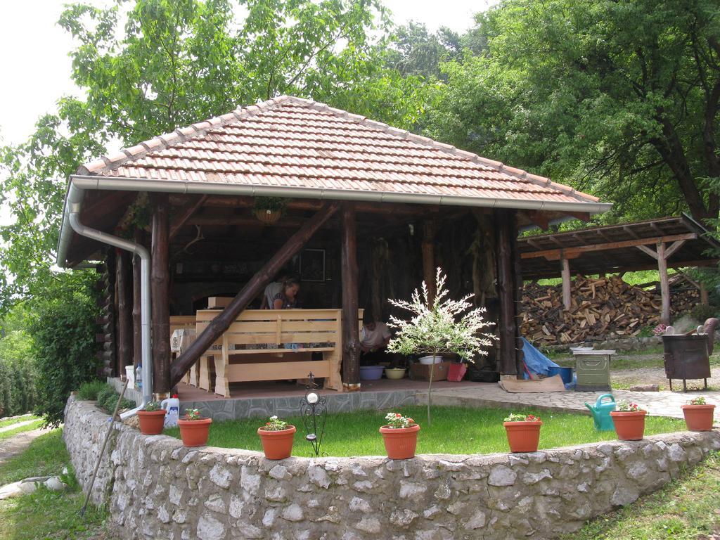 Villa Etno Domacinstvo Milenkovic Despotovac Exterior foto