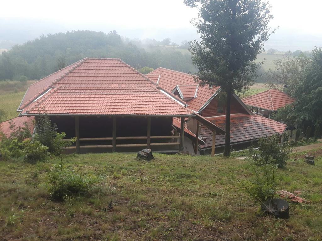 Villa Etno Domacinstvo Milenkovic Despotovac Exterior foto