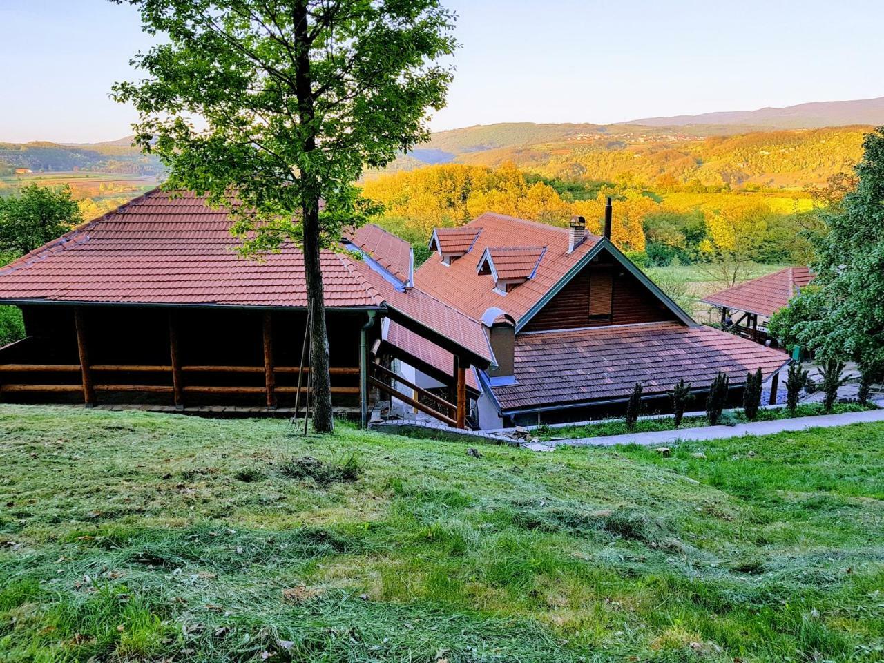 Villa Etno Domacinstvo Milenkovic Despotovac Exterior foto